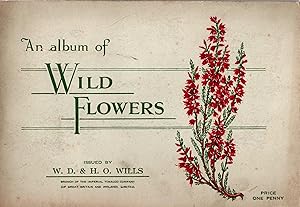 An Album of Wild Flowers
