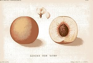 Bild des Verkufers fr Schne von Vitry. Original-Chromolithografie zum Verkauf von Antiquariat Kastanienhof