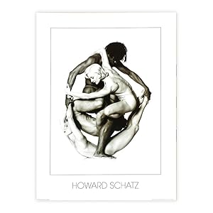 Stampa d'arte Vintage Howard Schatz 2001 - 80x60 cm