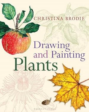 Imagen del vendedor de Drawing and Painting Plants (Paperback) a la venta por Grand Eagle Retail