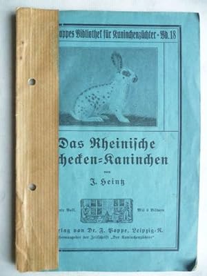 Das Rheinische Schecken-Kaninchen.