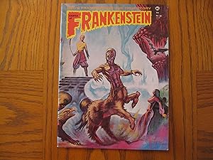 Castle of Frankenstein #21