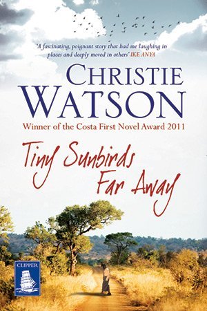 Image du vendeur pour Tiny Sunbirds Far Away (Large Print Edition) mis en vente par WeBuyBooks