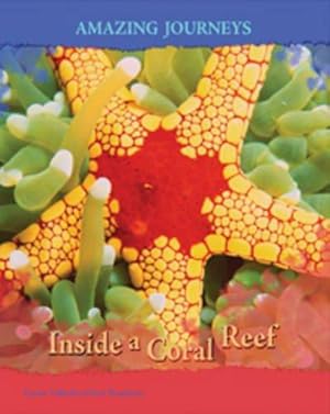 Bild des Verkufers fr Inside a Coral Reef (Amazing Journeys) zum Verkauf von WeBuyBooks