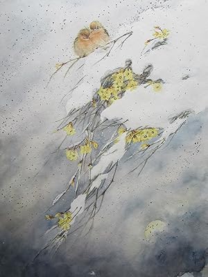 Snow covered yellow flowering branches with 2 orange birds