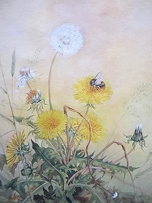 Dandelion with Bumble Bee.