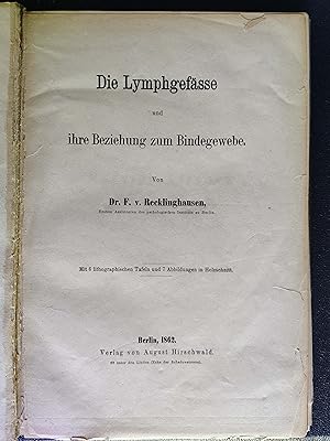 Die Lymphegefässe und ihre Beziehung zum Bindegewebe.