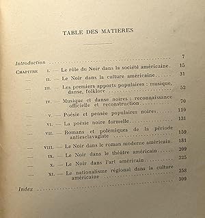 Les noirs dans la civilisations américaine