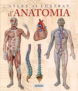 Imagen del vendedor de Atles il-lustrat d'anatomia a la venta por Imosver