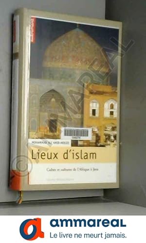 Bild des Verkufers fr Lieux d'islam : Cultes et cultures de l'Afrique  Java zum Verkauf von Ammareal