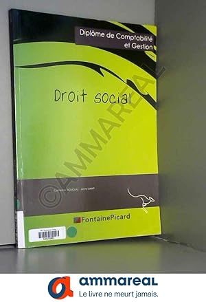 Imagen del vendedor de Droit social DCG a la venta por Ammareal