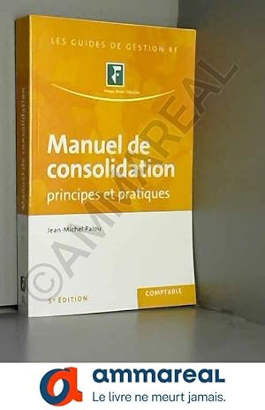 Bild des Verkufers fr Manuel de consolidation. Principes et pratiques zum Verkauf von Ammareal
