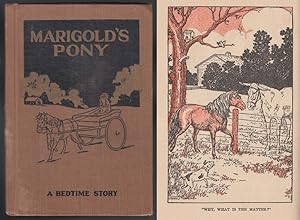 Marigold's Pony : A Bedtime Story