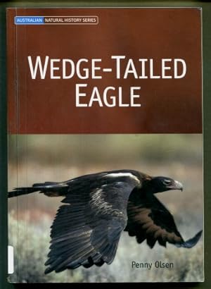 Wedge-tailed Eagle