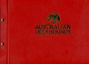 Australian Deerhounds