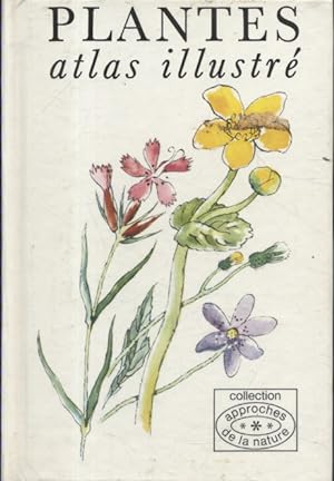 Plantes. Atlas illustré.