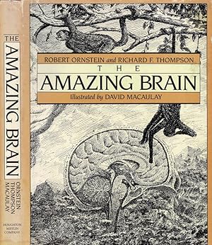 Bild des Verkufers fr The amazing brain zum Verkauf von Biblioteca di Babele