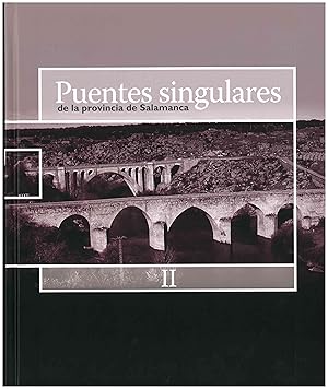 Puentes singulares de la provinciade Salamanca II