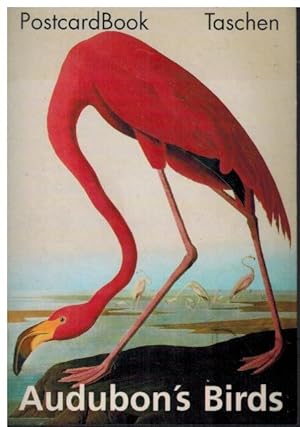 Seller image for Audubon`s Birds. Postcard Book. for sale by Dobben-Antiquariat Dr. Volker Wendt