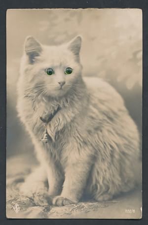 Bild des Verkufers fr Glasaugen-Ansichtskarte Weisse Katze mit Glocke und grnen Augen zum Verkauf von Bartko-Reher