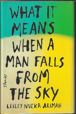 WHAT IT MEANS WHEN A MAN FALLS FROM THE SKY