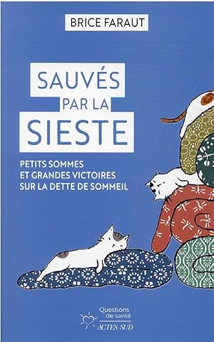 sauvés par la sieste : petits sommes et grandes victoires sur la dette de sommeil