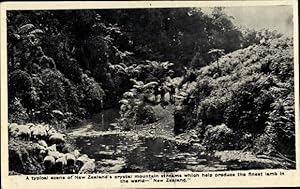 Bild des Verkufers fr Ansichtskarte / Postkarte Neuseeland, A typical scene of New Zeeland's crystal mountain streams, sheep zum Verkauf von akpool GmbH