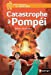 Bild des Verkufers fr Catastrophe à Pompéi [FRENCH LANGUAGE - Soft Cover ] zum Verkauf von booksXpress