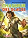 Imagen del vendedor de Chasseur des glaces : Dans la peau d'un Cro-Magnon [FRENCH LANGUAGE - Soft Cover ] a la venta por booksXpress