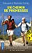 Bild des Verkufers fr Un chemin de promesses (French Edition) [FRENCH LANGUAGE - Soft Cover ] zum Verkauf von booksXpress