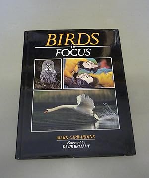 Immagine del venditore per Birds in Focus venduto da Calluna Books