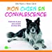 Image du vendeur pour Mon chien en convalescence [FRENCH LANGUAGE - Soft Cover ] mis en vente par booksXpress