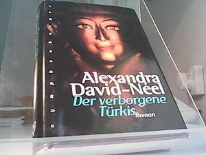 Der verborgene Türkis. Roman