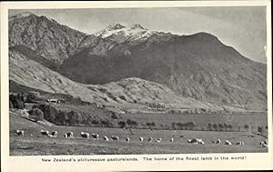 Bild des Verkufers fr Ansichtskarte / Postkarte Neuseeland, New Zealand's picturesque pasturelands, The home of the finest lamb in the world zum Verkauf von akpool GmbH