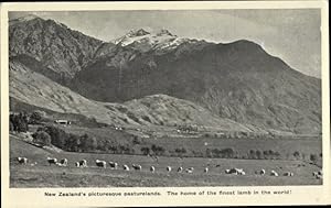 Bild des Verkufers fr Ansichtskarte / Postkarte Neuseeland, New Zealand's picturesque pasturelands, The home of the finest lamb in the world zum Verkauf von akpool GmbH