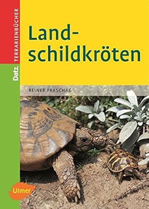 Landschildkröten (Datz Terrarienbücher)