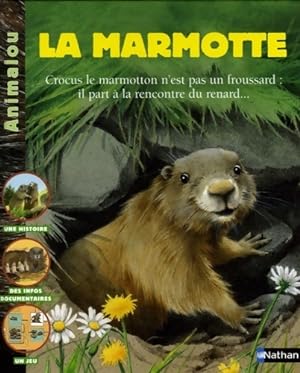 Seller image for La marmotte - Patricia Holl for sale by Book Hmisphres