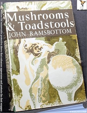 Mushrooms & Toadstools: A Study of the Activities of Fungi