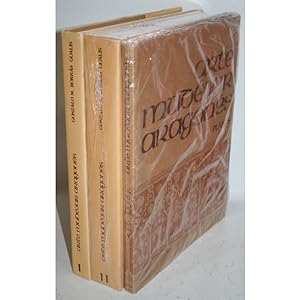 Bild des Verkufers fr Arte Mudjar aragons. 2 tomos y una carpeta de planos zum Verkauf von Librera Salamb
