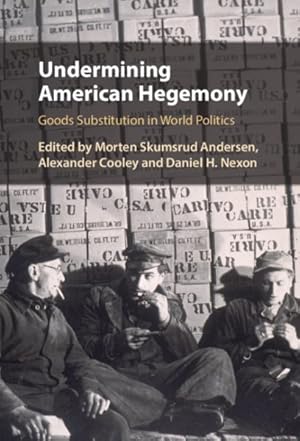 Seller image for Undermining American Hegemony : Goods Substitution in World Politics for sale by GreatBookPricesUK