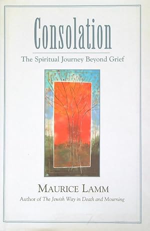 Immagine del venditore per Consolation: The Spiritual Journey Beyond Grief venduto da Librodifaccia