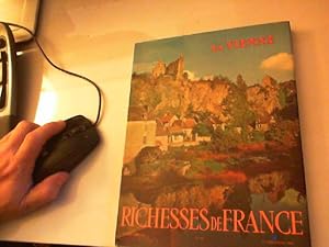 Image du vendeur pour La vienne, richesses de france mis en vente par JLG_livres anciens et modernes