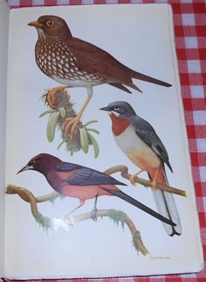 Seller image for Faune des Antilles Franaises Les Oiseaux for sale by Librairie Sedon