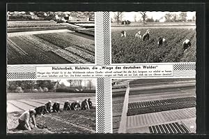 Seller image for Ansichtskarte Halstenbek / Holstein, Blumenbeete, Frauen bei Gartenarbeiten, Feld for sale by Bartko-Reher