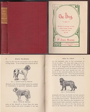 The Dog: All That It Is Necessary to Know about Choosing, Feeding, Curing and Training One