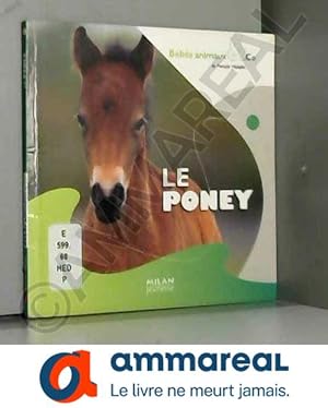 Bild des Verkufers fr Le poney zum Verkauf von Ammareal