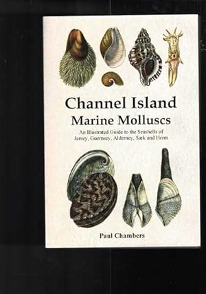 Seller image for Channel Island Marine Molluscs for sale by Berry Books