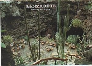 Image du vendeur pour Postal E00594: Jameo del Agua, Lanzarote mis en vente par EL BOLETIN