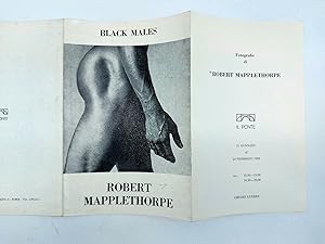 Black Males. Fotografie di Robert Mapplethorpe. Galleria Il Ponte, Roma, 1982 (pieghevole della p...
