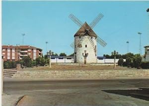 Seller image for Postal E00551: Molino ms grande del mundo, Valdepeas, C,Real for sale by EL BOLETIN